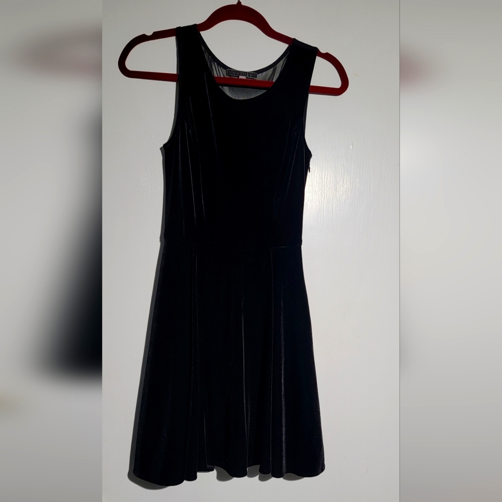 Velvet Skater Style Dress